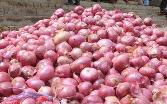 Govt says its intervention brought down onion price
